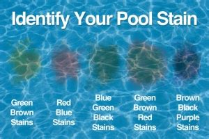 Pool Stains - Causes and Treatment - NJ Pool Service Blog