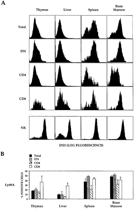 Expression of NK cell markers by NKT cells. A, Cells isolated from... | Download Scientific Diagram