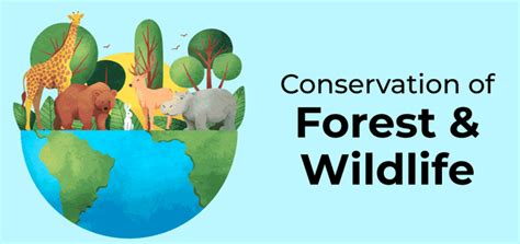 Describe how communities have conserved and protected forests and wildlife in India? - GeeksforGeeks