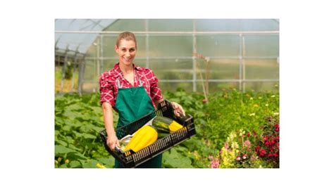 Market gardening and its economical importance - ScienceQuery