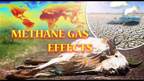 Methane Gas: Effects Of Methane Gas On The Environment