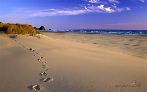 MissK's World...: Early Morning Stroll On The Beach.....