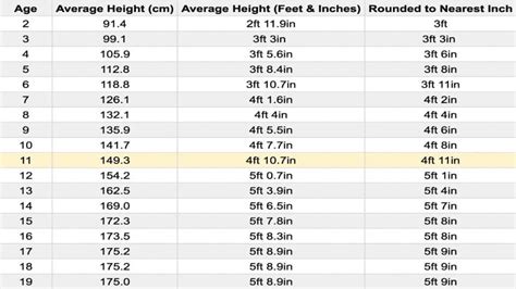 The Average Height for 11 Year Olds (Girls and Boys)