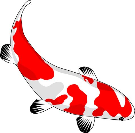 Peixe Koi Vermelho - Gráfico vetorial grátis no Pixabay - Pixabay