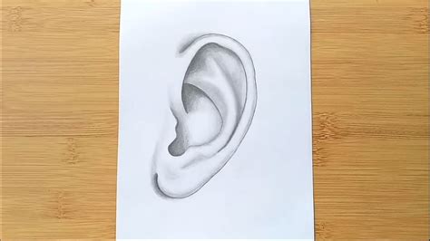 How To Draw A Left Ear