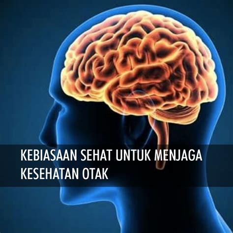 KEBIASAAN SEHAT UNTUK MENJAGA KESEHATAN OTAK - TokoAlatFitness.com