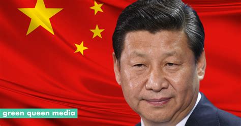 President Xi References China’s Alt-Protein Sector In National Food ...