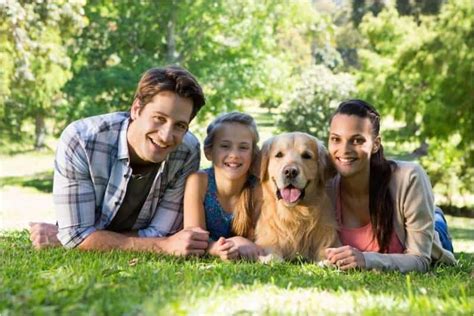 How to Train Your Golden Retriever to be Kid-Friendly - Official Golden ...