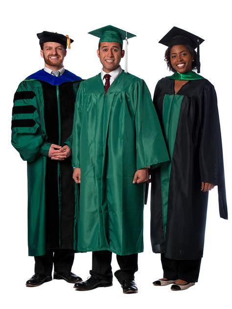 UNT | University of North Texas | Graduation gown, Masters graduation, Academic gown