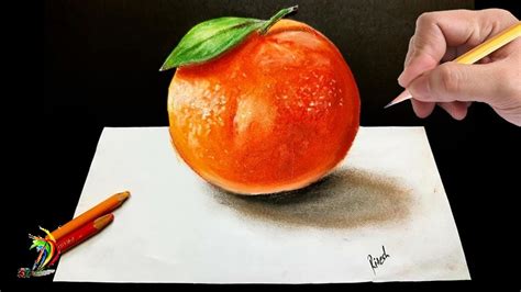 Realistic Orange Drawing