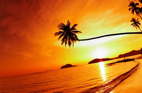 thailand, Beach, Sea, Sunset, Sky, Palm, Tree