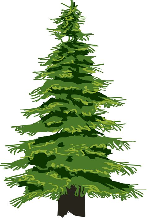 free evergreen clipart 10 free Cliparts | Download images on Clipground ...