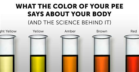 What The Color Of Your Pee Says About Your Body And The Science Behind It