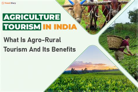 Harvesting Rich Experiences: Agriculture Tourism in India