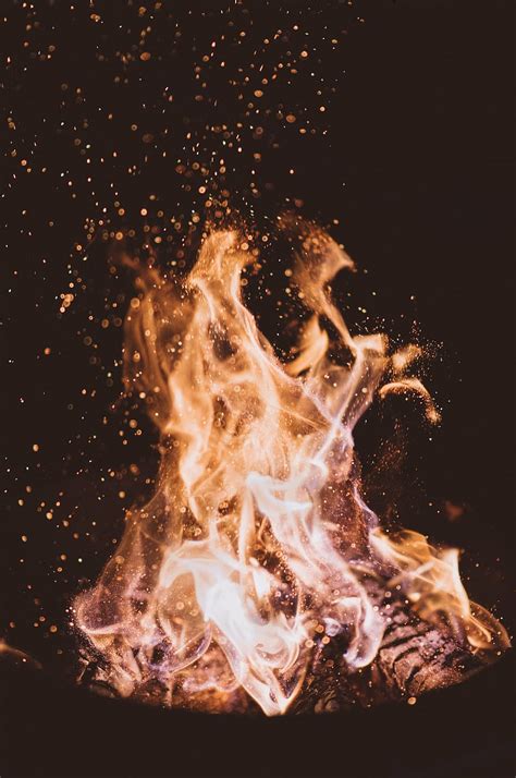 Free download | time lapse photography, flame, fire, light, firewood, charcoal, ash, heat ...