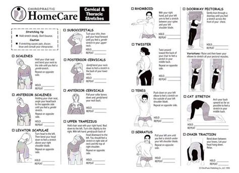 Neck & Upper Back Stretches | Sweaty and Satisfied | Pinterest ...