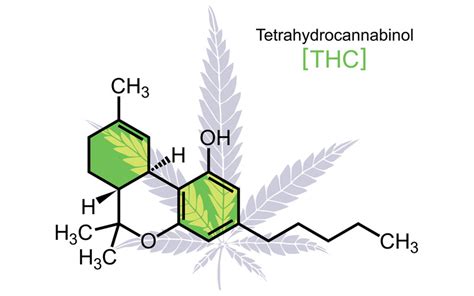 THC Molecule on White - Illustration - TemplateMonster