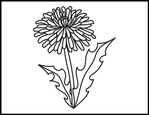 Dandelion Coloring Pages | Roaring Spork