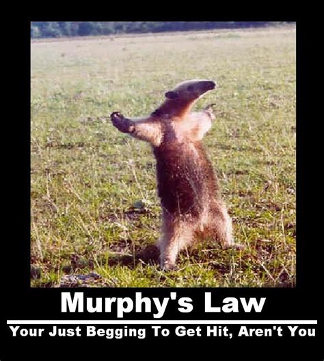 Murphy's Law by IntellectualDeviant on DeviantArt