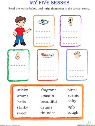 Sensory Description Match-Up | Worksheet | Education.com | My five senses, Sensory words ...