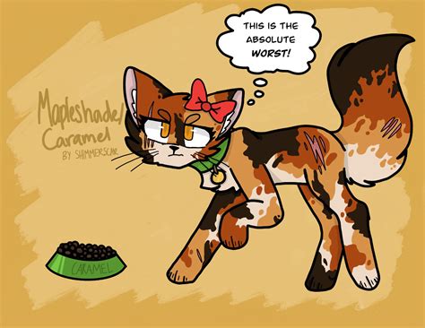 Mapleshade the Kittypet! | Warrior Cats