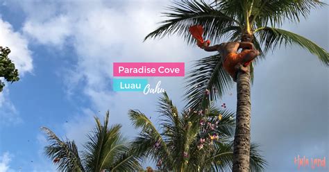 Paradise Cove Luau, Oahu - Hulaland