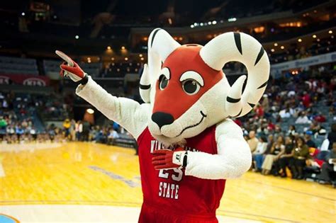 Pin by Monique Young on WSSU | Winston salem state university, Mascot, Hbcu