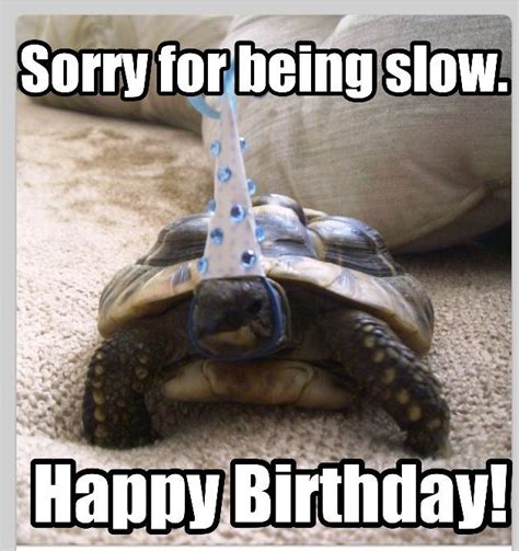 20 Best Happy Belated Birthday Memes | SayingImages.com Funny Belated Birthday Wishes, Happy ...