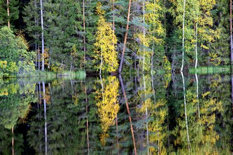 Autumn pond-reflection | Beautiful evening,, amazing autumn … | Flickr