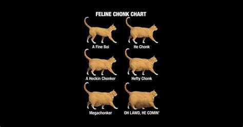 Feline Chonk Chart, Funny Chonk Cat Meme by gorillamerch | Cat memes ...