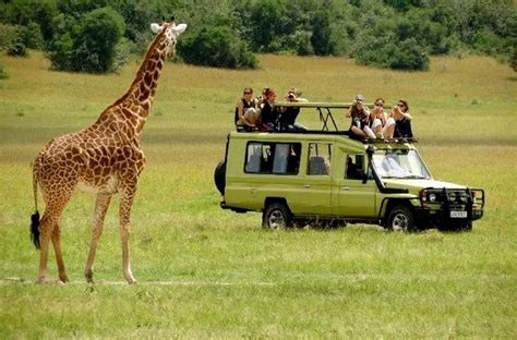 Road Trip Safari from Kampala to Masai Mara - Safari Vacations & Travel ...