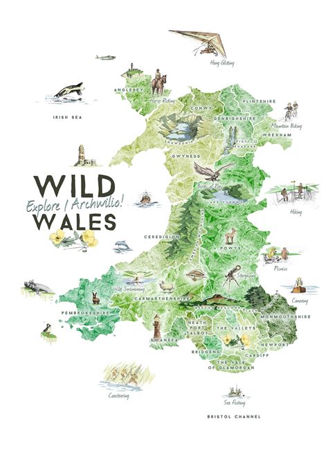 An illustrated map for Alastair Sawday's Publishing | Illustrated map ...