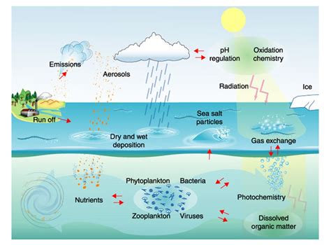 Surface ocean-lower atmosphere study: Scientific synthesis and contribution to Earth system ...