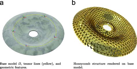 Example of honey-comb structure on the surface of a curved disk and... | Download Scientific Diagram