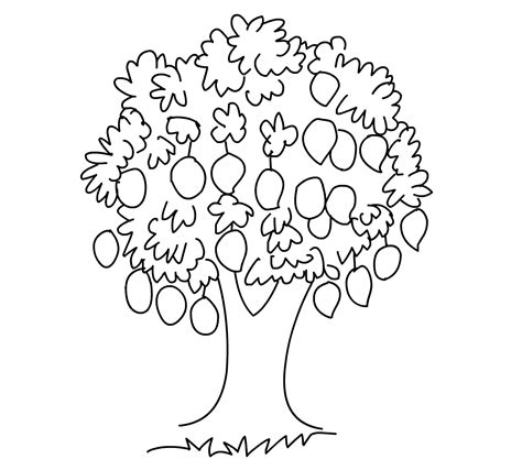 Mango tree coloring page - ClipArt Best - ClipArt Best