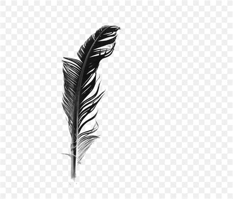 White Feather Black And White, PNG, 700x700px, Feather, Black, Black And White, Gratis ...