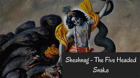 Sheshnag - The Five Headed Snake | Lord Vishnu's Bed | Hindu Mythology ...