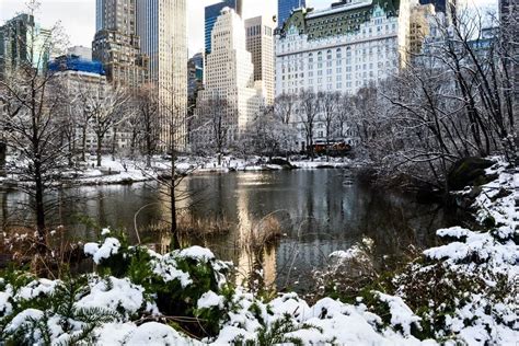 22 Amazing Things to do in Central Park in Winter in 2023