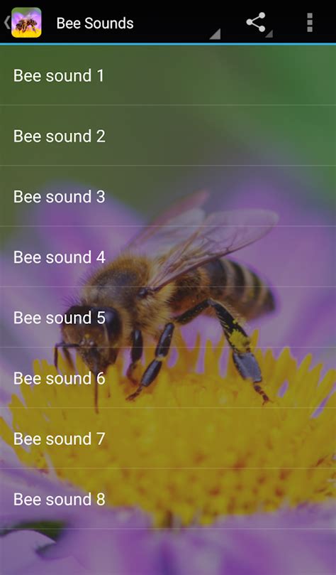 Bee Sounds - Android Apps on Google Play