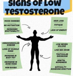 8 Signs Of Low Testosterone Levels | Blog | HealthGAINS