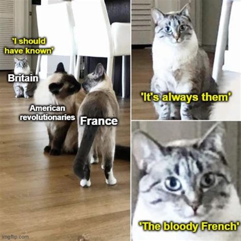 The French | History Memes | Know Your Meme