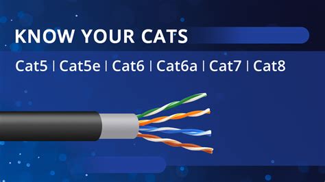 Cat5 vs Cat5e vs Cat6 vs Cat7 vs Cat8 Cable: How to Choose the Right ...