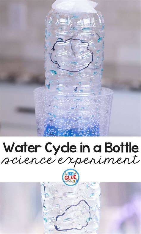 Water Cycle in a Bottle Science Experiment | Water cycle, Science ...