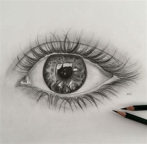 a pencil drawing of an eye with long lashes and the iris partially ...