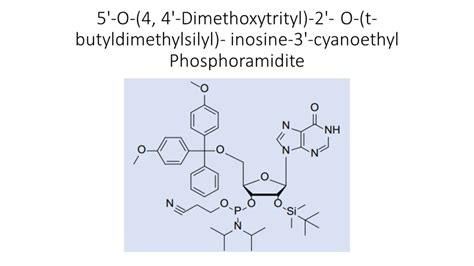 RNA Phosphoramidites - Akonscientific