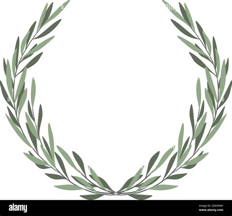 Olive tree border. Vector element. Olive frame vector. Olive branch ...