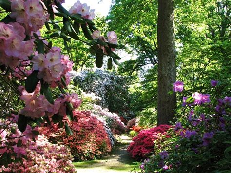 Savill Garden, best time to visit, places to stay - Great British Gardens