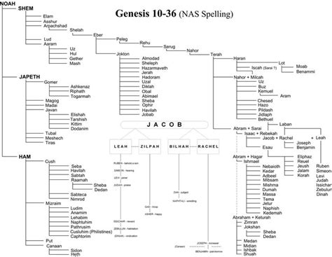 genesis family tree - Google Search | Bible study scripture, Bible family tree, Bible knowledge