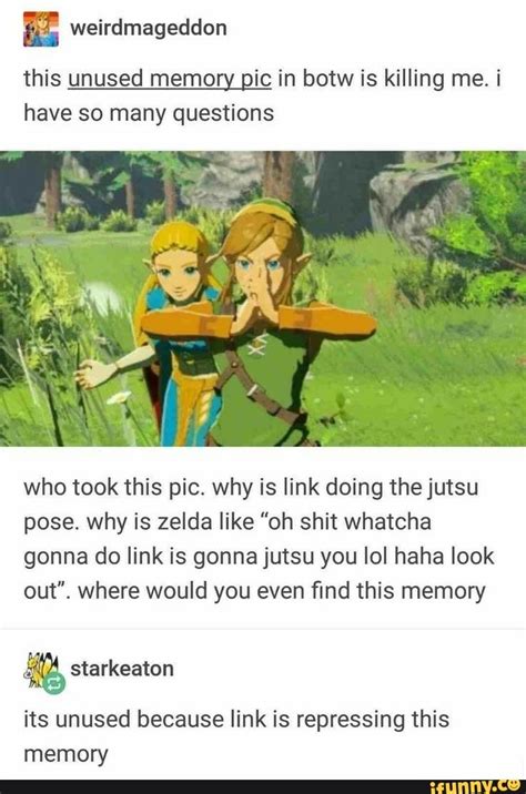 Botw memory pictures - hoolibar