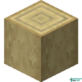 Stripped Birch Log | How to craft stripped birch log in Minecraft | Minecraft Wiki